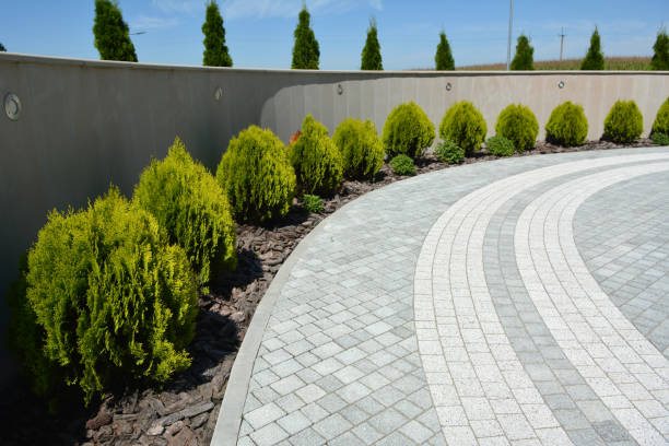 Best Brick Driveway Pavers  in Coleman, MI