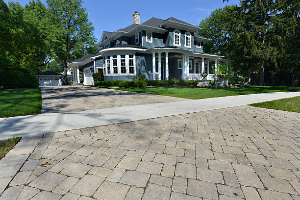 Best Driveway Paving Contractor  in Coleman, MI